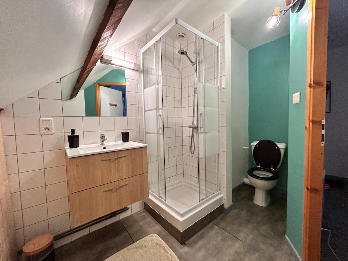 Superbe Studio A Proximite Du Centre-Ville Saint-Die-des-Vosges Екстериор снимка