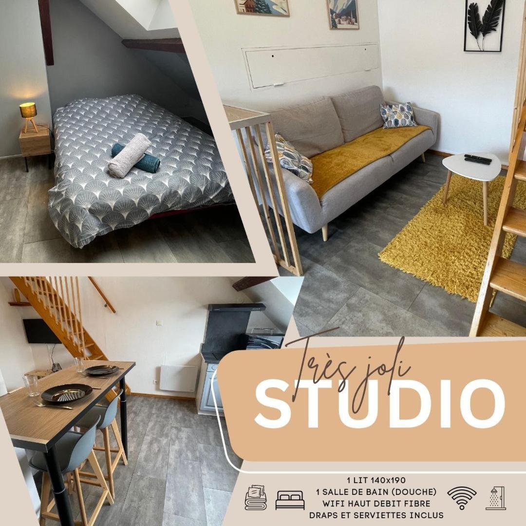 Superbe Studio A Proximite Du Centre-Ville Saint-Die-des-Vosges Екстериор снимка