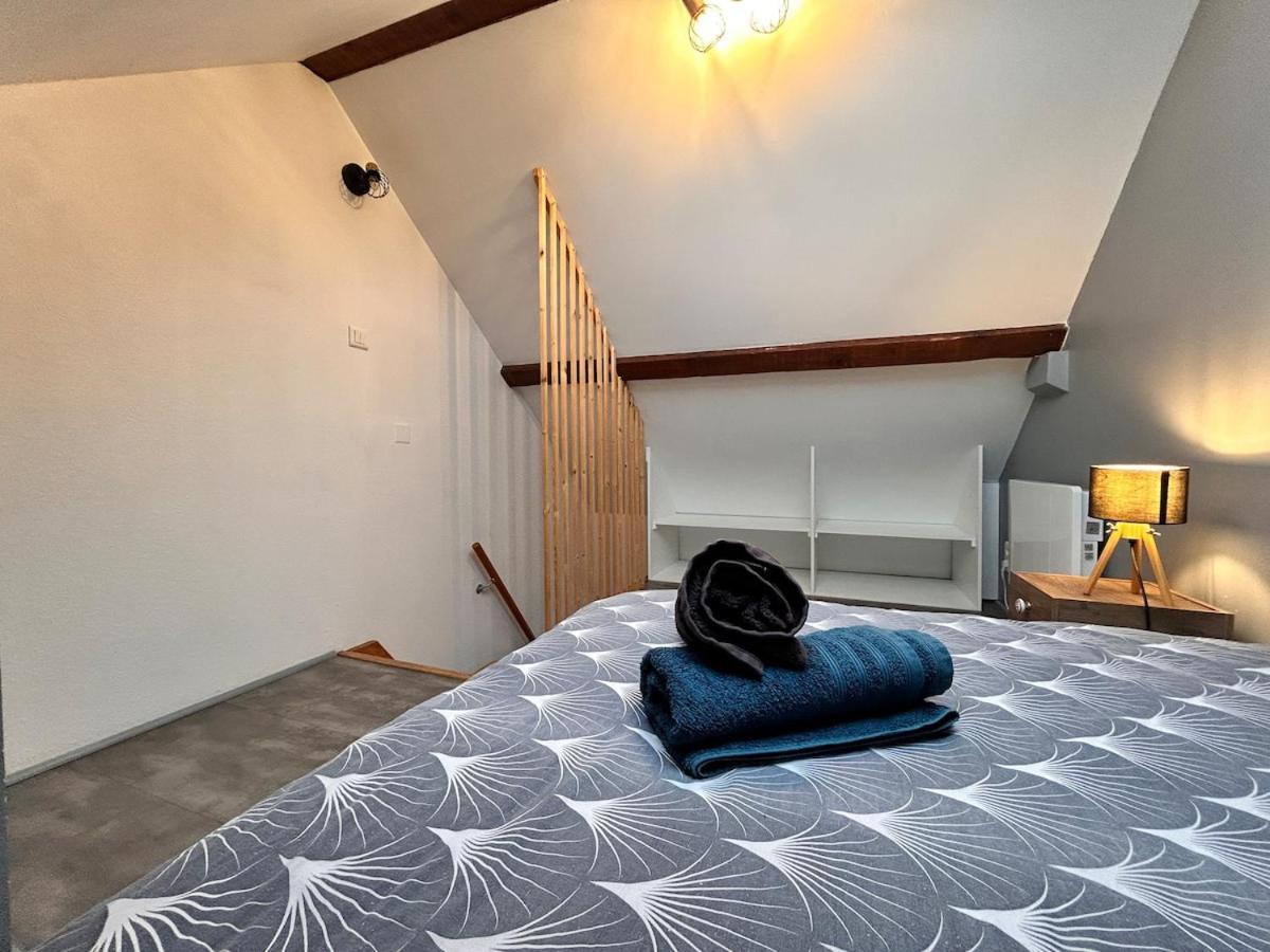 Superbe Studio A Proximite Du Centre-Ville Saint-Die-des-Vosges Екстериор снимка